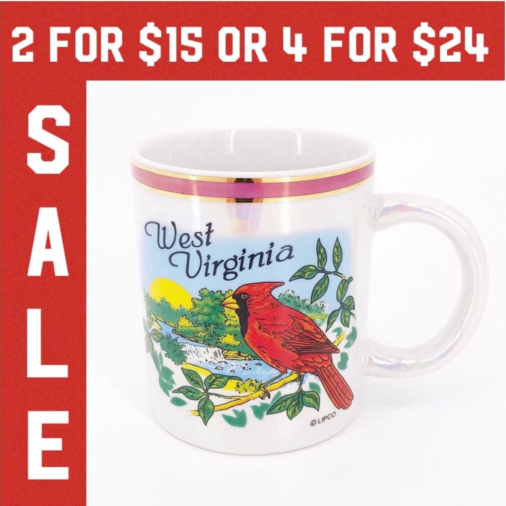 🔴 Vintage West Virginia souvenir coffee mug